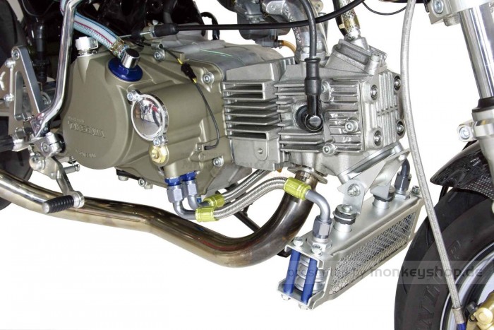 Takegawa Halter Ölkühler f. Monkey 125 JB02 + MSX 125 JC61 JC75 mit original Kopf