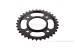 Kitaco Kettenrad 33T hinten schwarz f. MSX JC61 JC75 + Monkey 125 JB02 + Dax 125