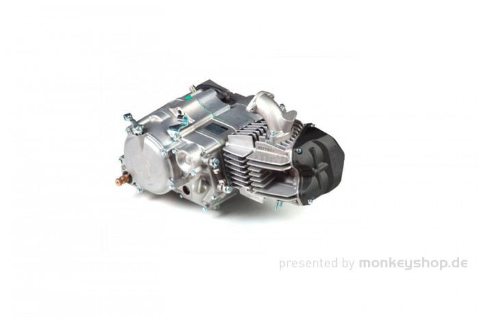 Daytona ANIMA 190SYL 4V 4-Gang Tuning Motor Kurzhub 23 PS mit Licht