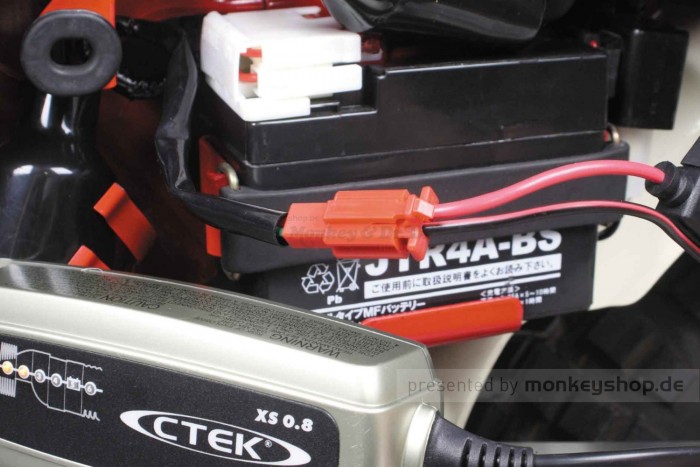 Takegawa Kabelbaum f. Monkey + Gorilla 12V