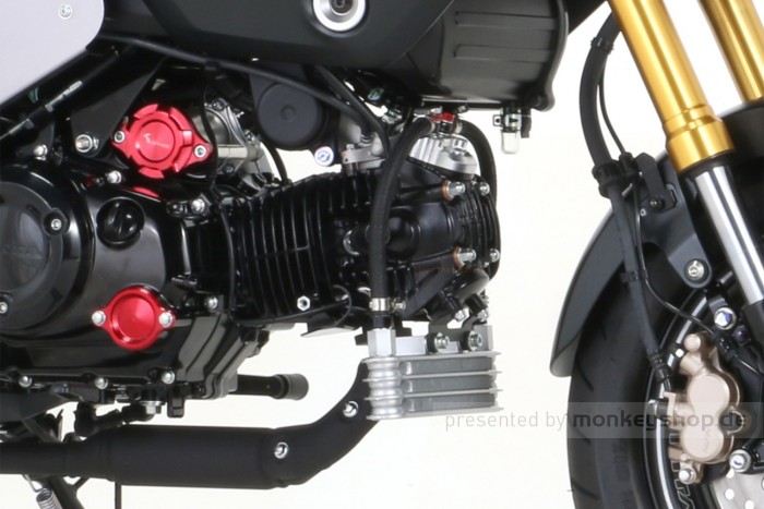 Kitaco Ölkühler Kit 3-reihig silber Montage unten f. Monkey 125 JB03 + MSX 125 GROM JC92