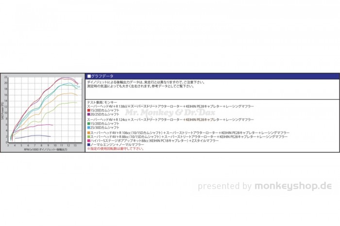 Takegawa 124 cc Tuning Motor 4V 19,5 PS 5-Gang TAF Touring ohne Zündung