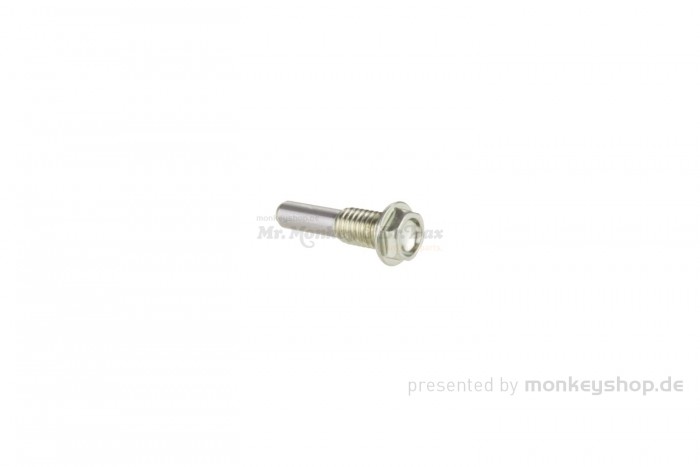 Honda Schraube Führungsrad Rolle Steuerkette Zylinder f. Super Cub 125 JA58 + MSX JC92 + Monkey 125 JB03 + Dax 125 JB04