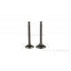 Ventil Satz Set Einlass + Auslass f. Dax 6V ST70