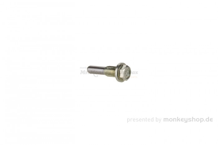 Honda Schraube Führungsrad Rolle Steuerkette Zylinder f. Nice 110 + Super Cub 125 JA48 + MSX JC61 JC75 + Monkey 125 JB02