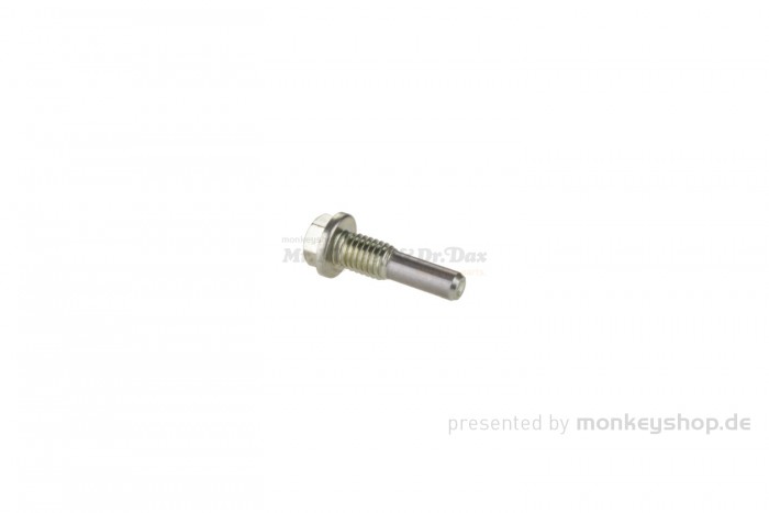 Honda Schraube Führungsrad Rolle Steuerkette Zylinder f. Nice 110 + Super Cub 125 JA48 + MSX JC61 JC75 + Monkey 125 JB02